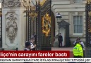 Zehirlere karşı mutasyona uğrayan fareler Kraliçeyi sarayından etti!