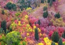 Zen Pictures - Autumn is.. Facebook