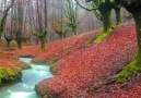 Zen Pictures - beautiful nature Facebook