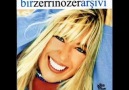 Zerrin Özer - Çiçeksiz Bahçe Sokağı