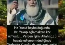 Zeynep Yılmaz - Eselamun AleykÜm hayırlı huzurlu sağlıklı...