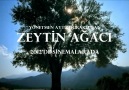 ZEYTİN AĞACI FİLMİ TANITIM İNTRO. PAYLAŞINIZ..