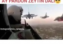 Zeytinin dalı geliyor....Instagram