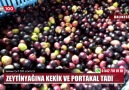 ZEYTİNYAĞINA KEKİK VE PORTAKAL TADI