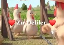 Zır Deliler - Zır Deliler