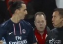 Zlatan Egovic ve yaramazlıkları :)