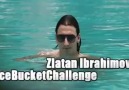 Zlatan's icebucket challenge