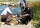 Zülfü Demirkapu - Heval eli akalan u heval Nasır...