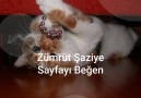 Zümrüt Şaziye - Zümrüt Şaziye Yalan Dünya dizisinde Ebru...