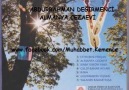 Abdurrahman Değirmenci - Almanya Cezaevi