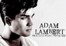 Adam Lambert - Whataya Want From Me [HQ]
