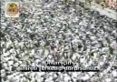 Ahmed El Acemi-Kıyamet Suresi