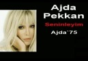 Ajda Pekkan -  Seninleyim