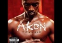 Akon - Party Animal (Prod. David Guetta New 2o1o) [HQ]