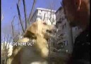 Aktör Köpek Dost-Eğitmen Bora Erbek-StarTv Ana Haber