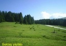 ALİ GEDİK [HQ]