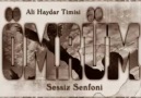 Ali Haydar Ömrüm