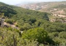 Alişan - Şeref Dağları (Bingöl Türküsü)