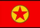 Ali Temel-Stîla Azadîyê