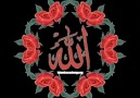 [♥ ALLAH DE KALBİM ♥ ]