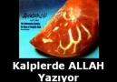 Allahın Varlığına Ait En Güzel Deliller!