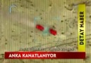 ANKA KANATLANIYOR