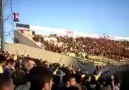ANKARAGÜCÜM - korkakspor