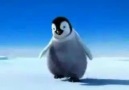 ankaralı penguenleri çok seveceksiniz ;)