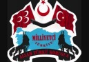 Anlatayım Bozkurtları !! www.yarenturk.com