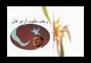 Arapların Başbakanımız İçin Yaptıkları Video