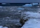 Arctic Ocean -- National Geographic