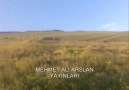 ARDAHAN GÖLE İLÇESİ @ MEHMET ALİ ARSLAN Yayınları [HQ]