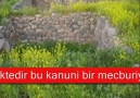 ARDAHAN İLİ Mehmetaliaslan Bayramoğluköyü KÜRTÇE FAN [HQ]