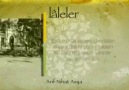 ARİF NİHAT ASYA - LALELER