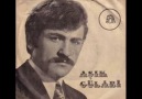 Aşık Gülabi - Sefil Baykuş