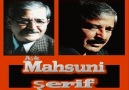 Aşik Mahsuni Şerif: DOKUNMA KEYFİNE YALAN DÜNYANIN