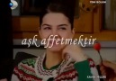 Aşk Nedir?