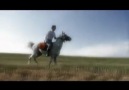 At Güzellemesi - İrfan Gürdal