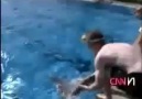 Avustralyalı Yüzücüler Neden Hızlı Yüzer :)))