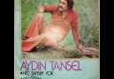 Aydın Tansel - Günler Aylar ....