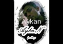 Aykan  -  Kedi [HQ]