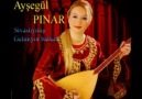 AYŞEGÜL PINAR--ELLİK