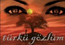 AYŞEGÜL-Türkü gözlüm