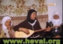 Ayşe Sefaqi   /  Baran Bari