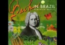 Bach - Double Violin Concerto (Samba)