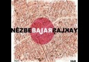 Bajar - Davetsiz Misafir