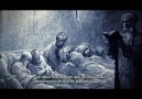 BBC Darwin'in Mücadelesi-Doğal Seçilimin Evrimi░2/4░