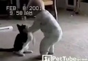 Bebecik ve kedi güreş tutuyorlar :)