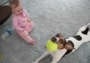 bebek ısırıooo köpeğii :)