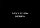 Beklenen Bebek (Çizgi Diliyle Ehlibeyt)